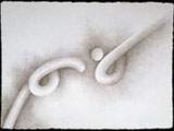 View Series